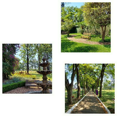 Cemitério Congonhas